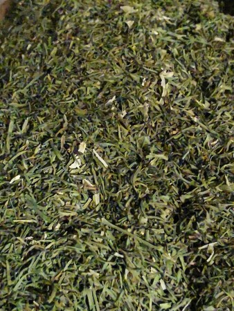 Dill - 500g